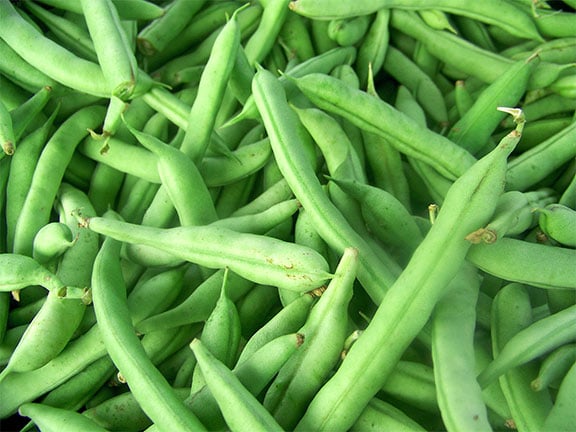 Can You Freeze Fresh Green Beans Without Blanching Them How To Freeze Your Favourite Food,Is Soy Milk Healthy For Pregnancy
