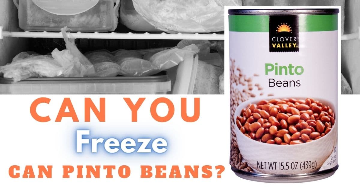 Un cartel con una imagen de alubias pintas de lata y las palabras "¿Se pueden congelar las alubias pintas de lata?"Can you freeze can pinto beans